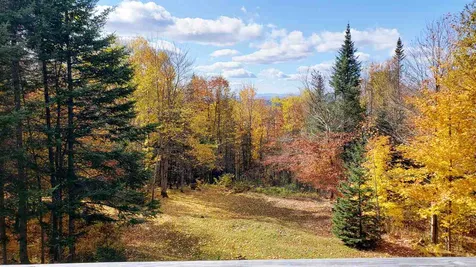 1250 Old Duke Road Walden VT 05873