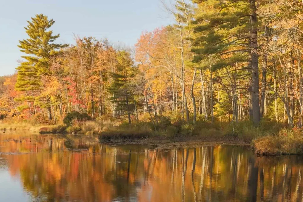 15 Union Lake Road Barrington NH 03825