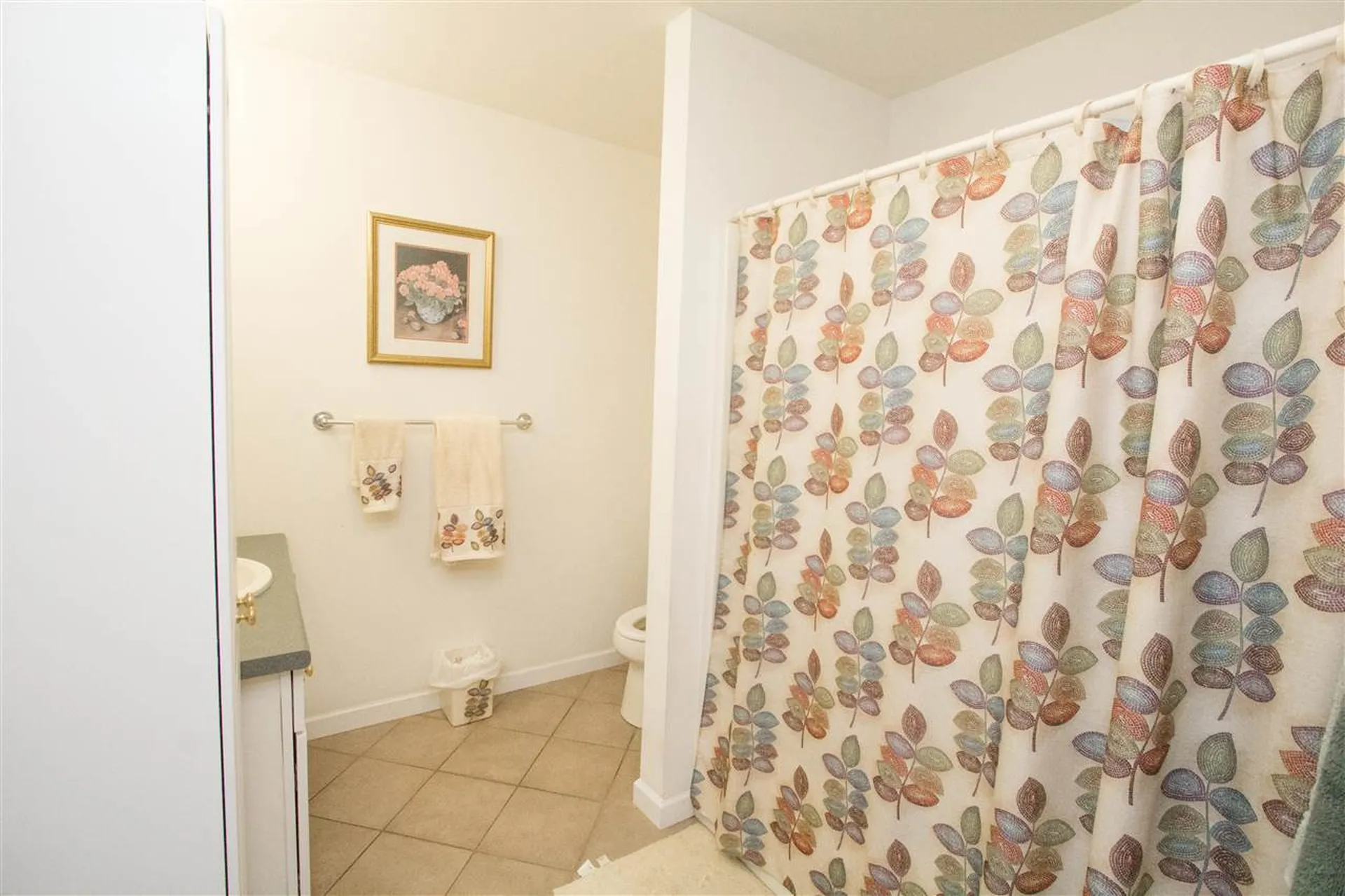 35 Haileys Way Colchester VT 05446