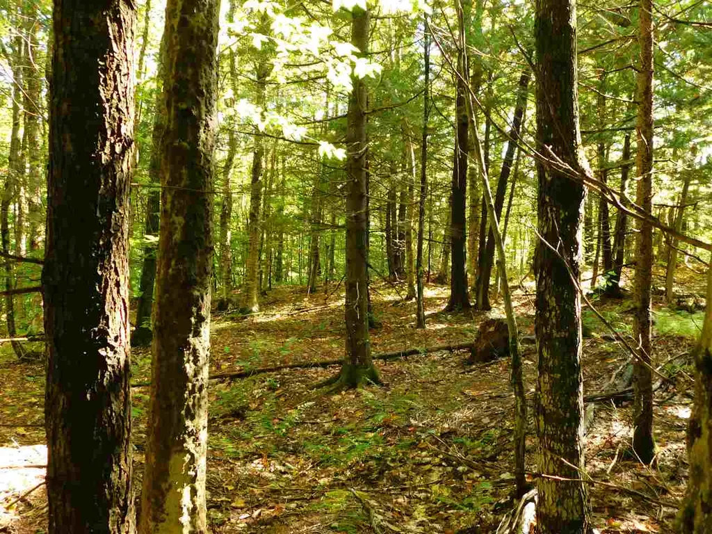 345 Stephenson Road Irasburg VT 05845