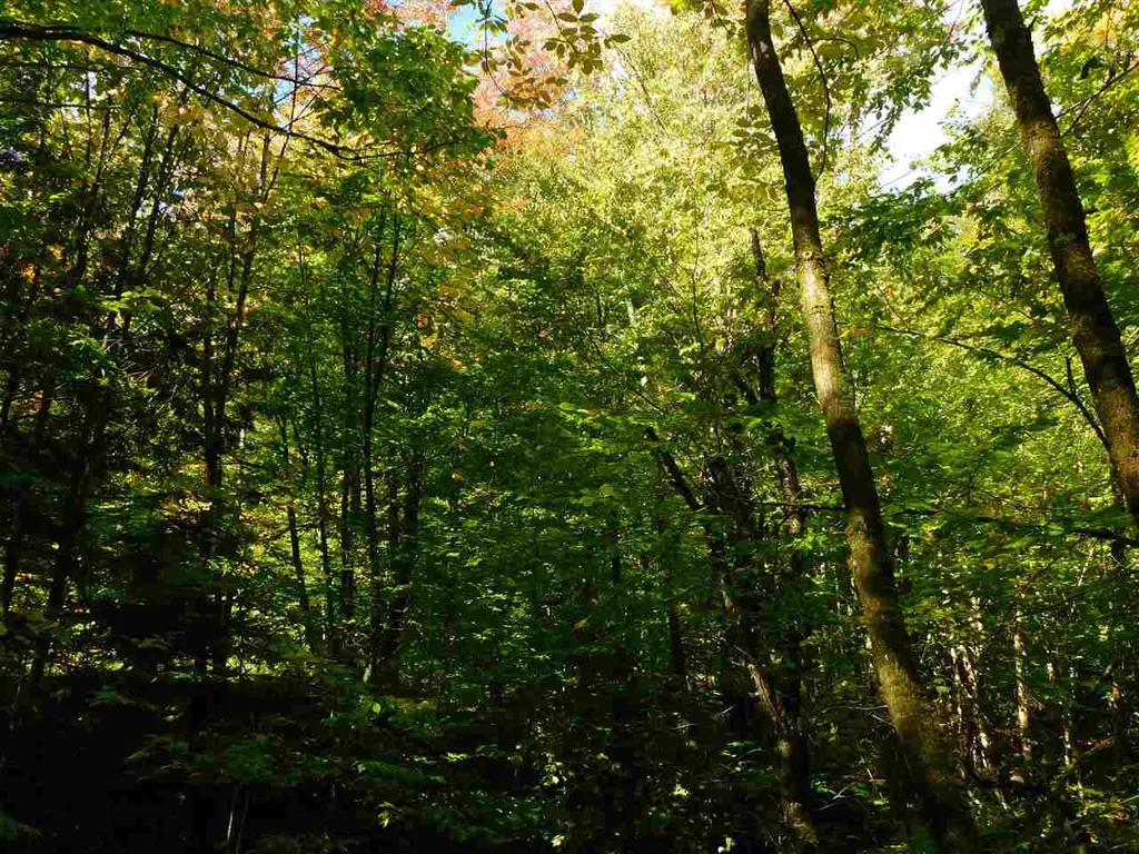 345 Stephenson Road Irasburg VT 05845