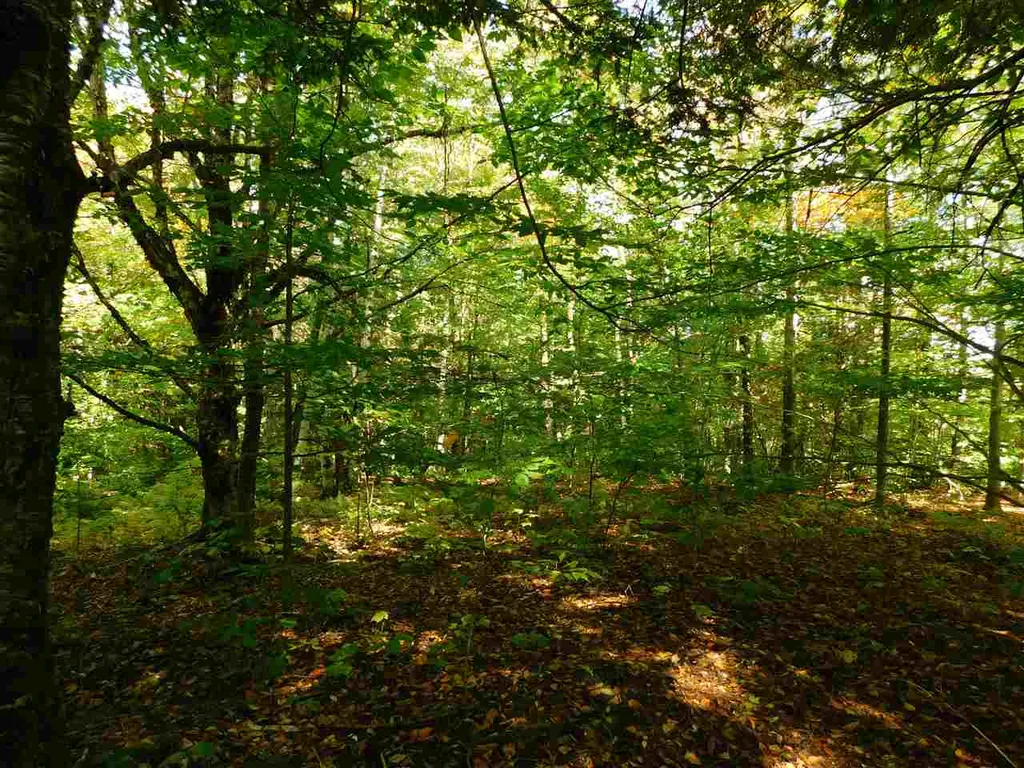 345 Stephenson Road Irasburg VT 05845