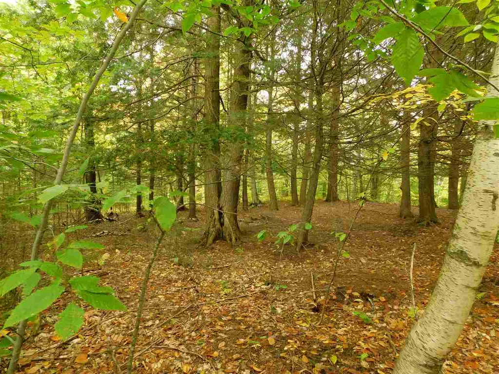 345 Stephenson Road Irasburg VT 05845