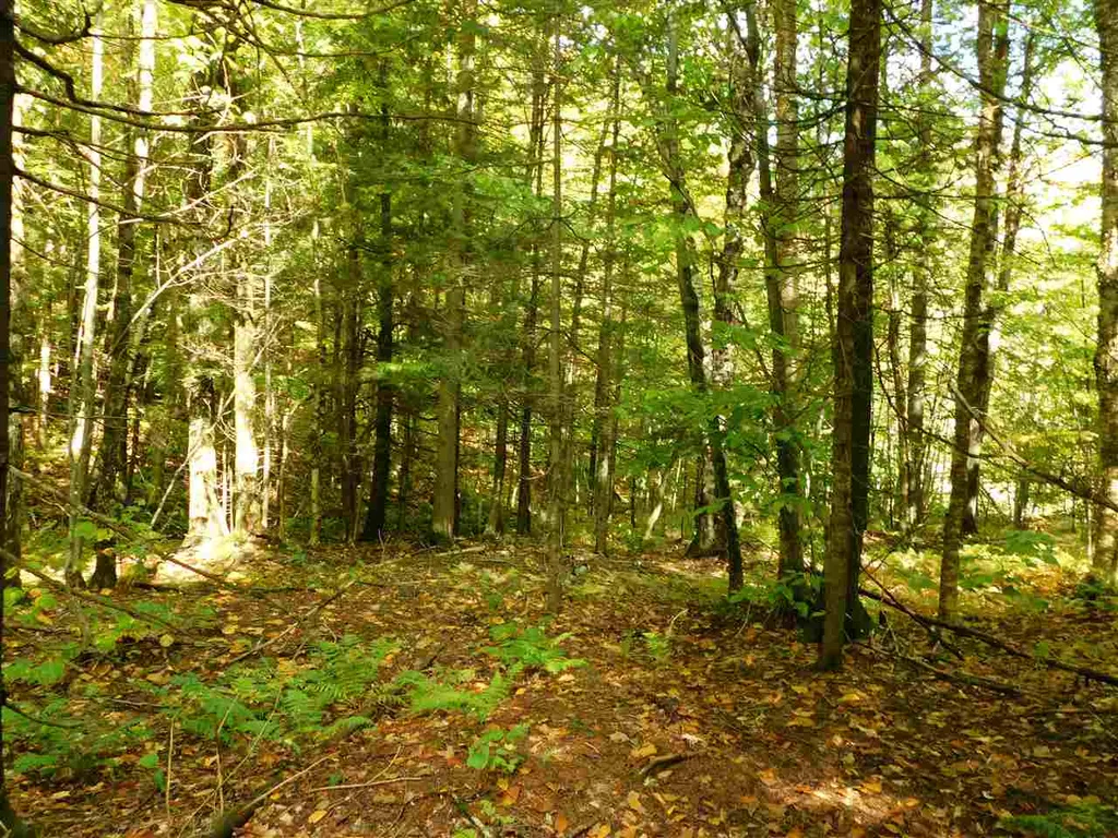 345 Stephenson Road Irasburg VT 05845