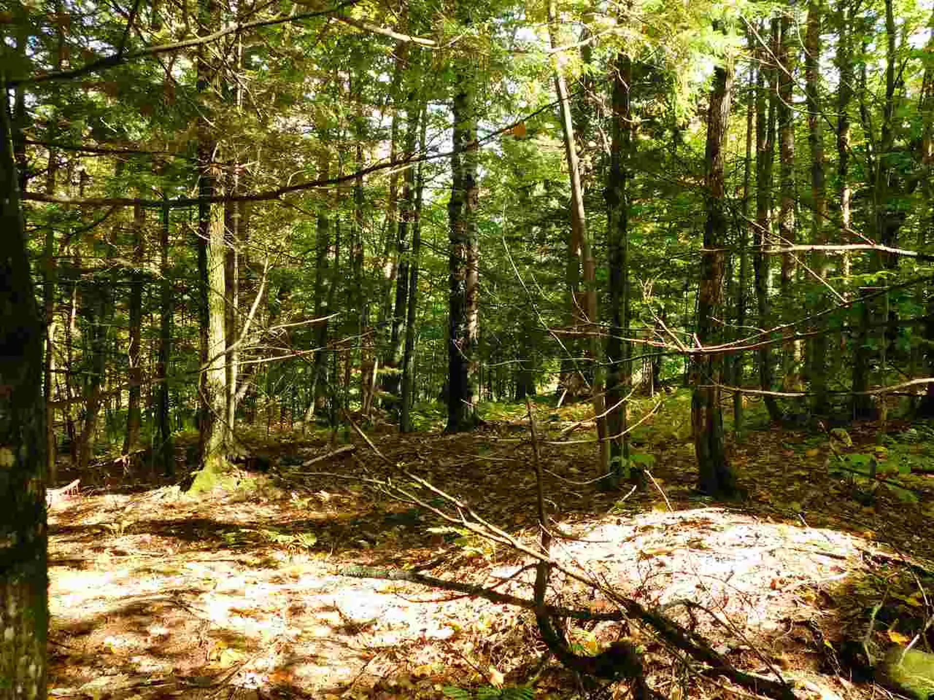 345 Stephenson Road Irasburg VT 05845