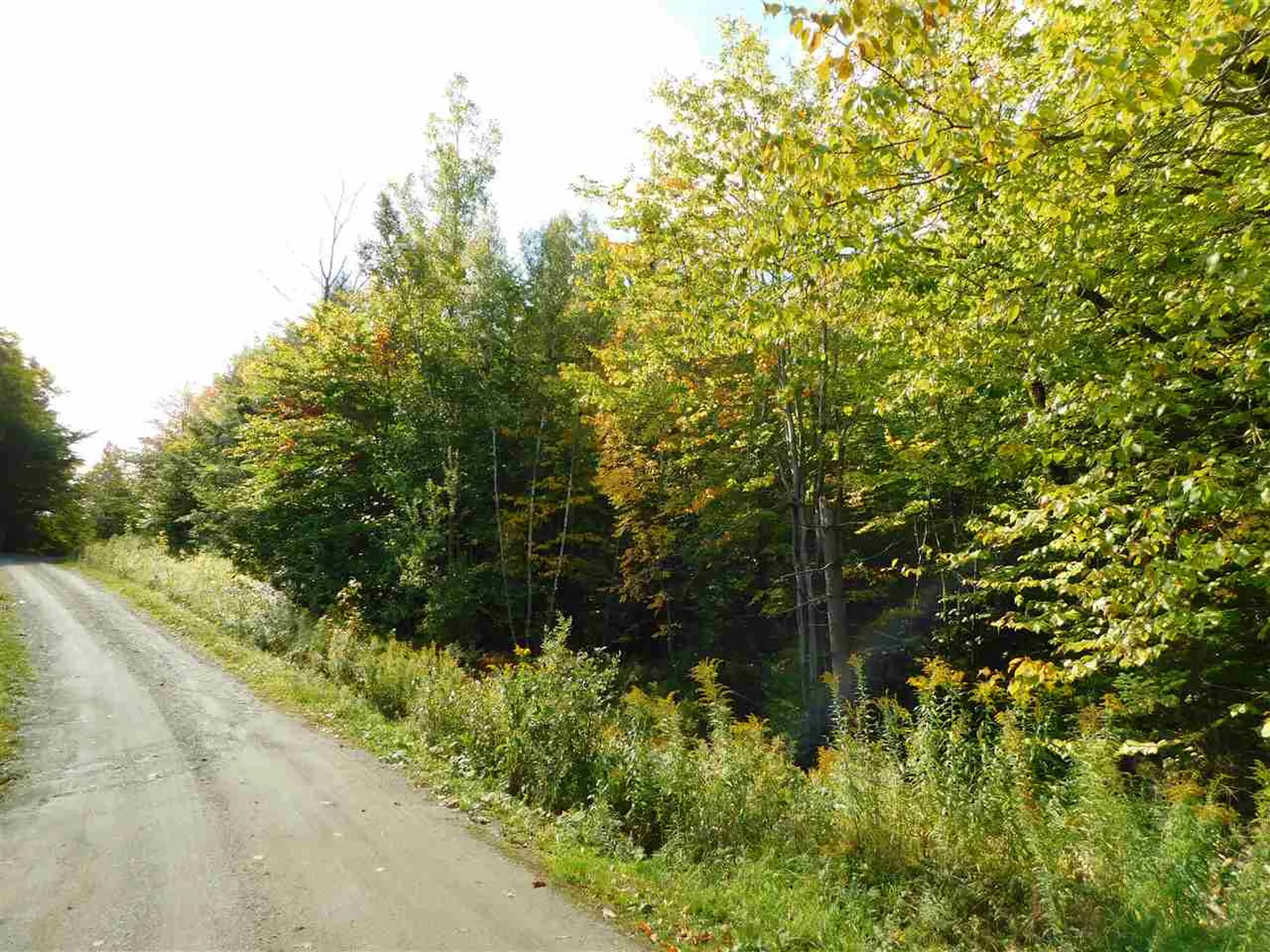 345 Stephenson Road Irasburg VT 05845