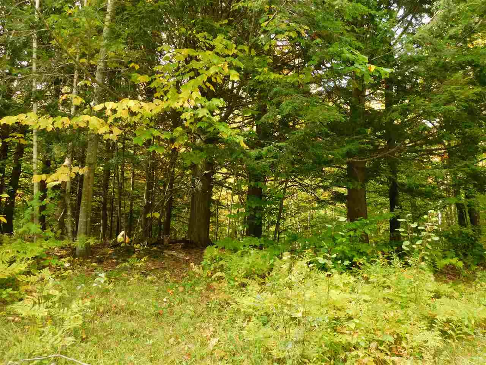 345 Stephenson Road Irasburg VT 05845