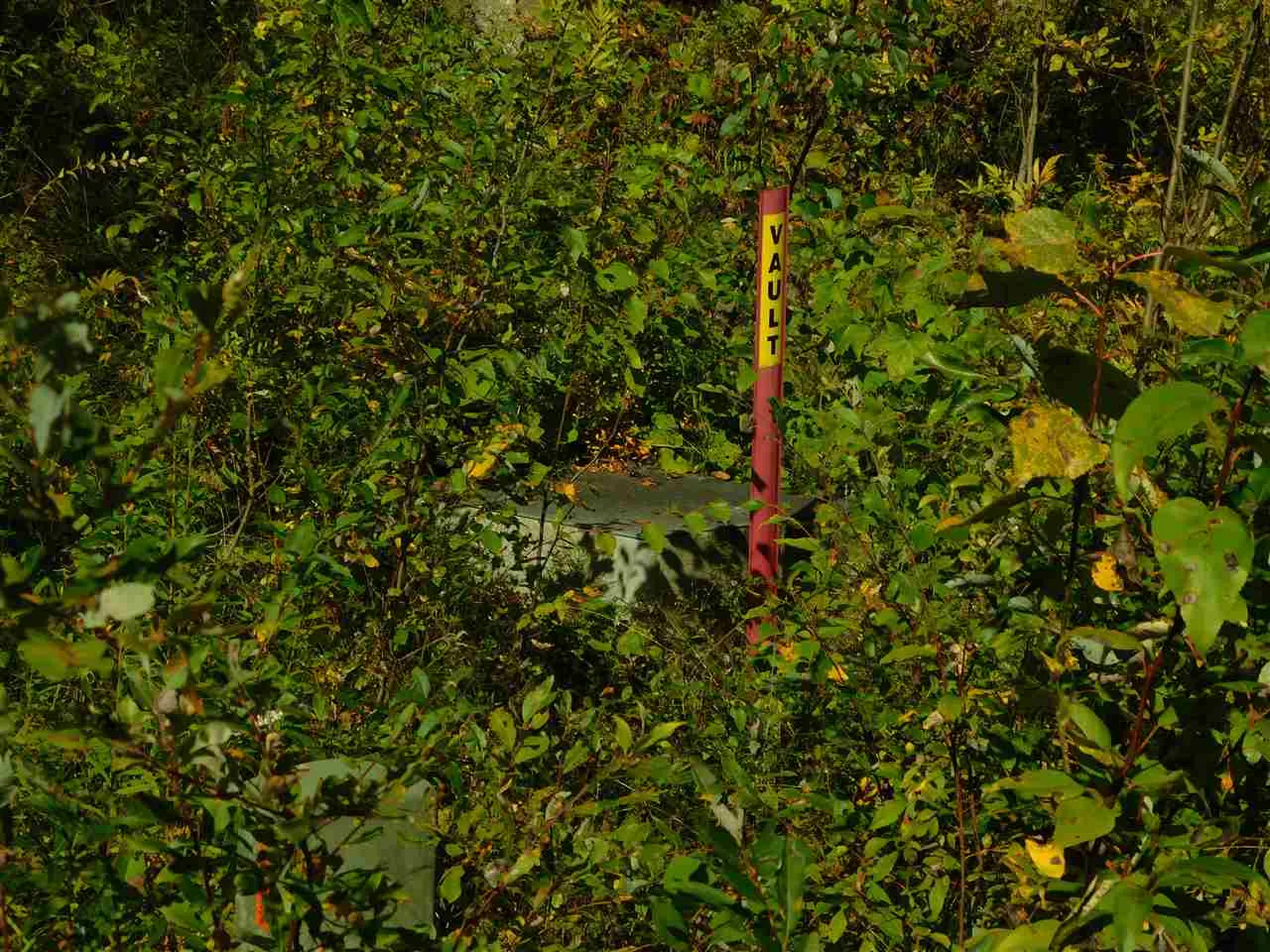 345 Stephenson Road Irasburg VT 05845