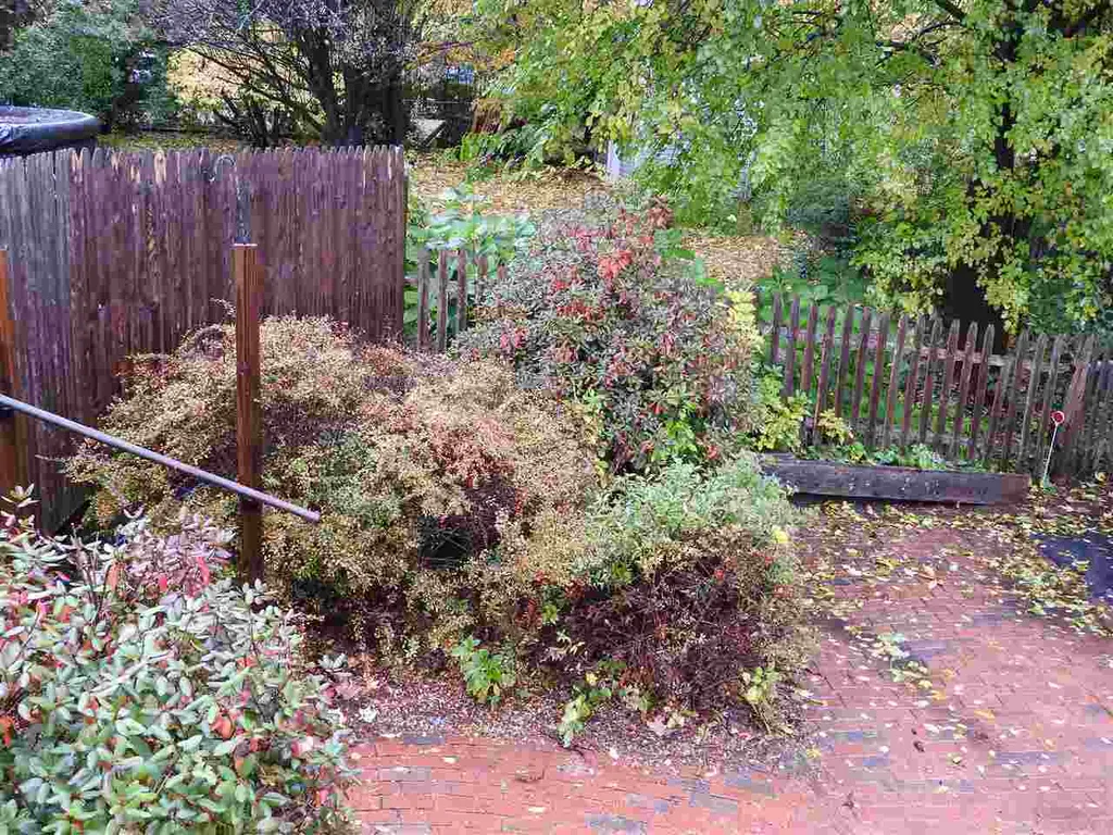 146 Rumford Street Concord NH 03301