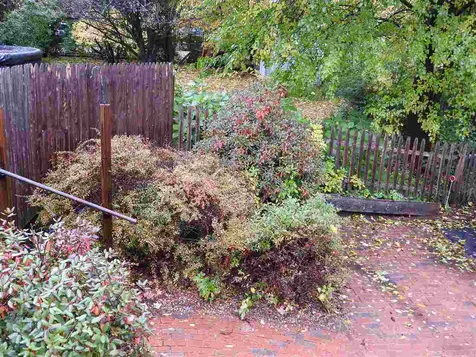 146 Rumford Street Concord NH 03301