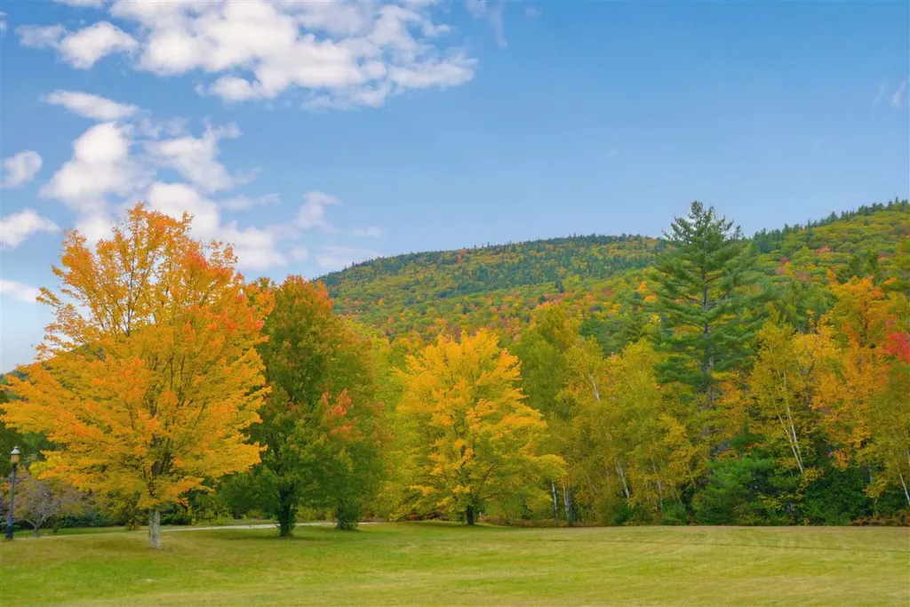 544 Nh Route 16 Bartlett NH 03812