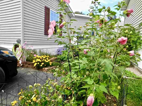 7 Eglin Boulevard Londonderry NH 03053