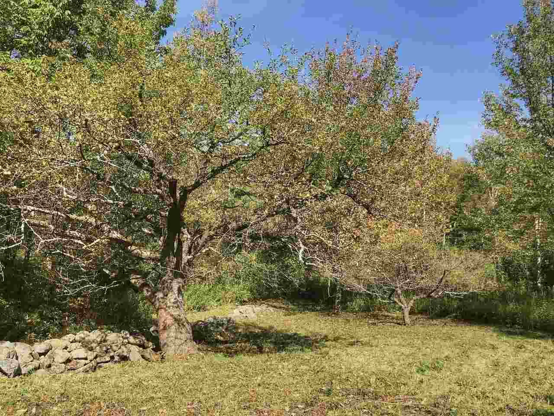 1562 Texas Hill Road Hinesburg VT 05461
