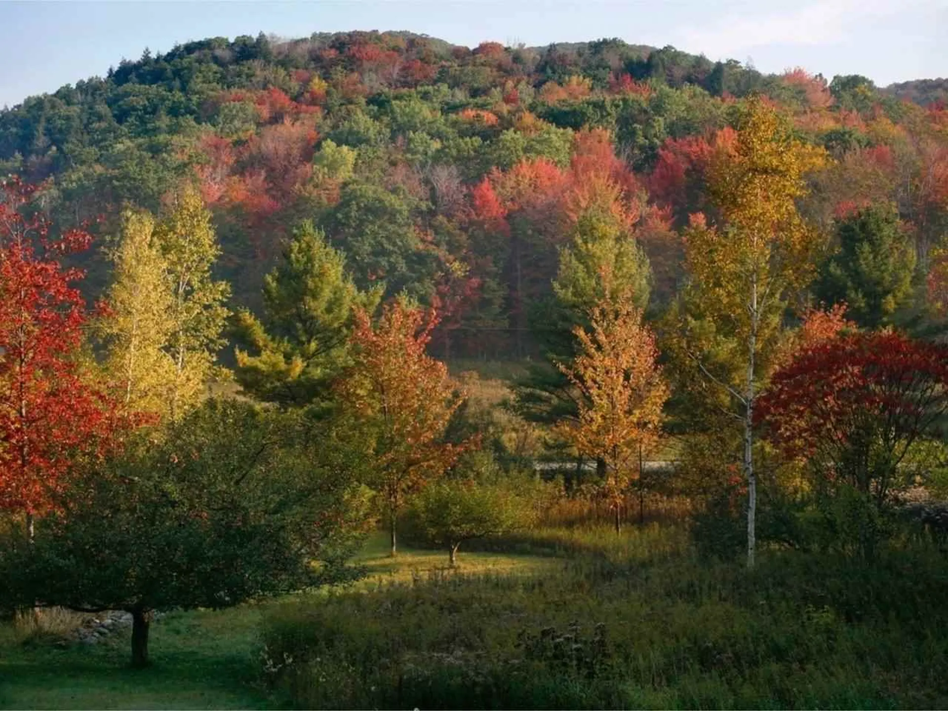 1562 Texas Hill Road Hinesburg VT 05461