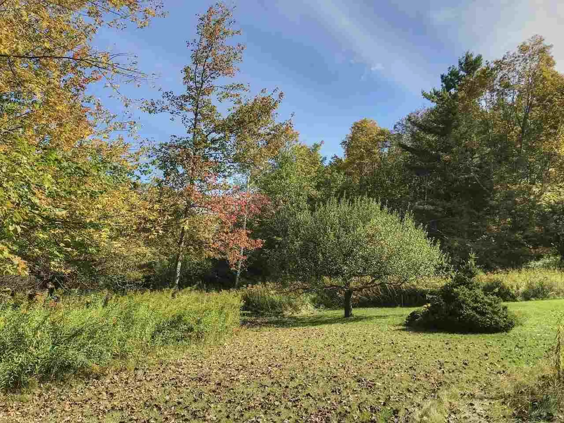 1562 Texas Hill Road Hinesburg VT 05461