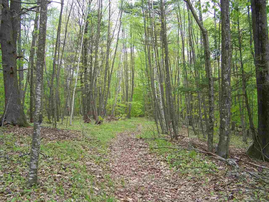 B/l Woodman Road South Hampton NH 03827