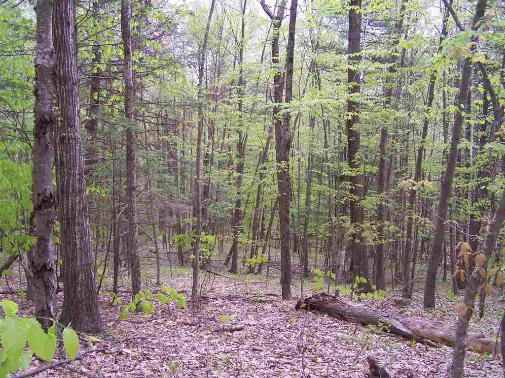 B/l Woodman Road South Hampton NH 03827