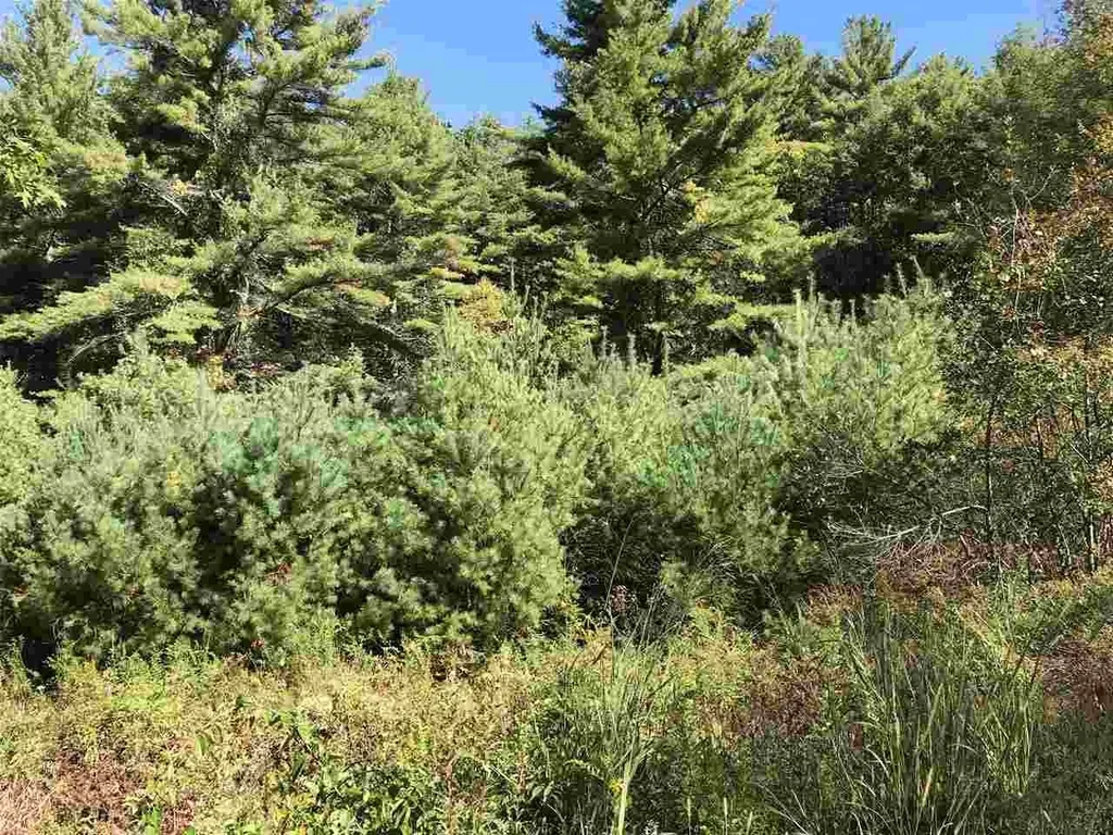 102 Baboosic Lake Road Amherst NH 03031