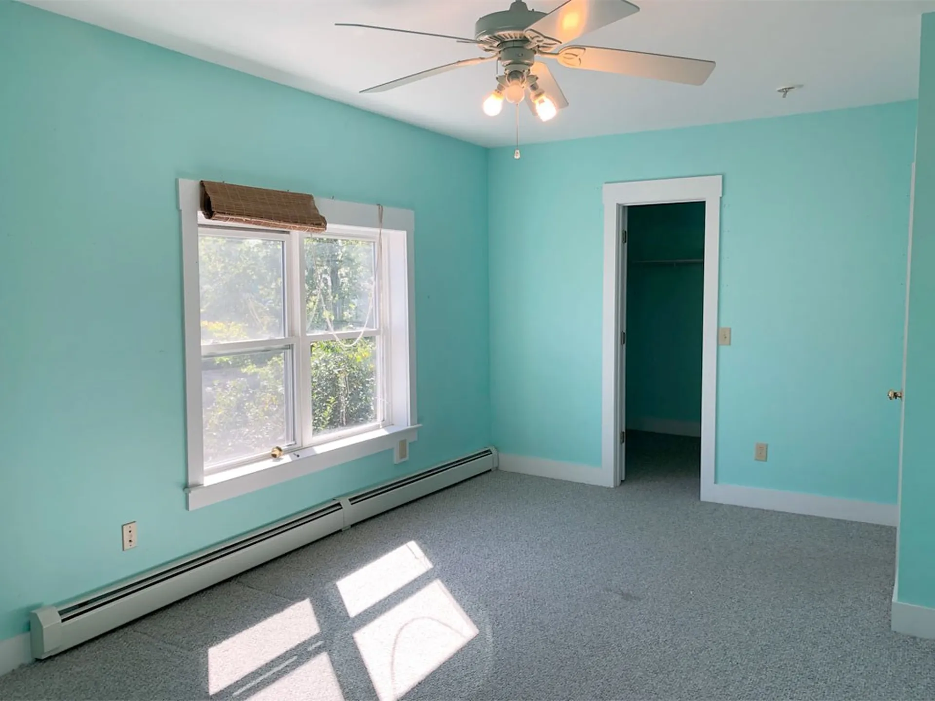 161 North Avenue Burlington VT 05401