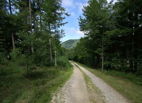 466 Mead Lane Middlebury VT 05753