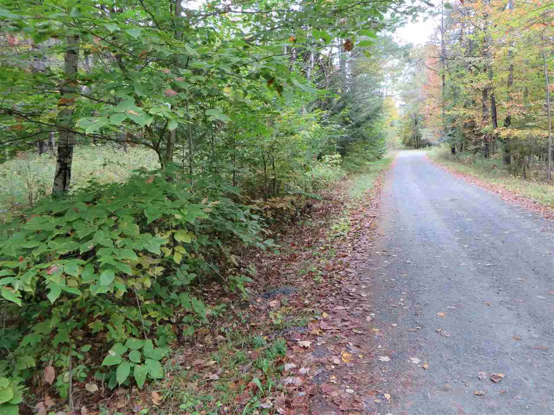 Lot #B-6 Chamberlain Lane Waterford VT 05819