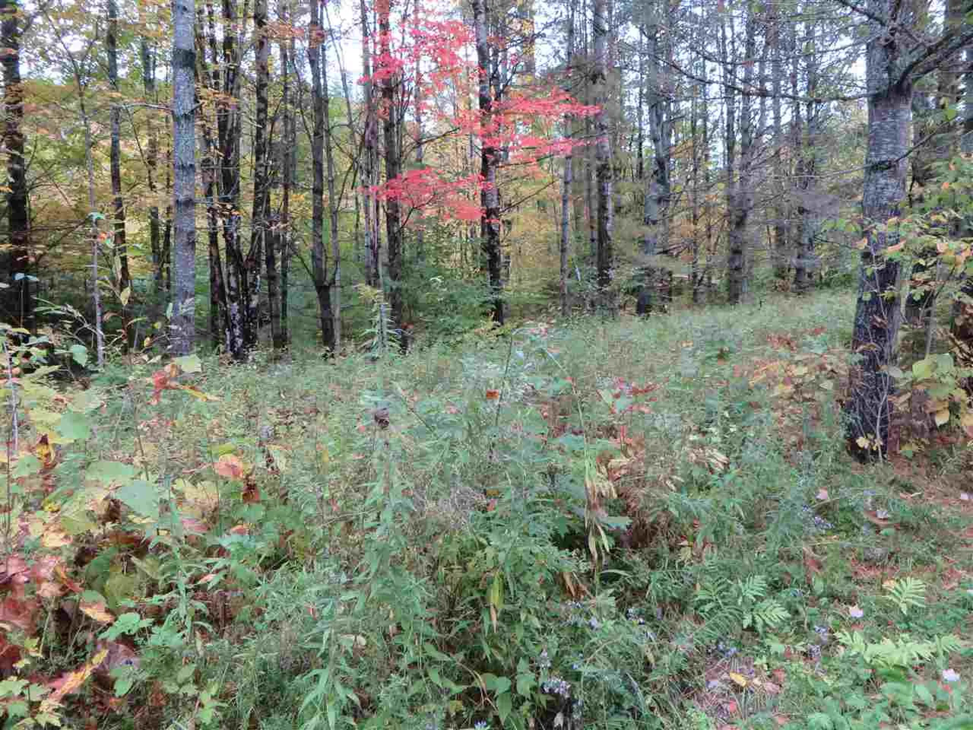 Lot #B-6 Chamberlain Lane Waterford VT 05819
