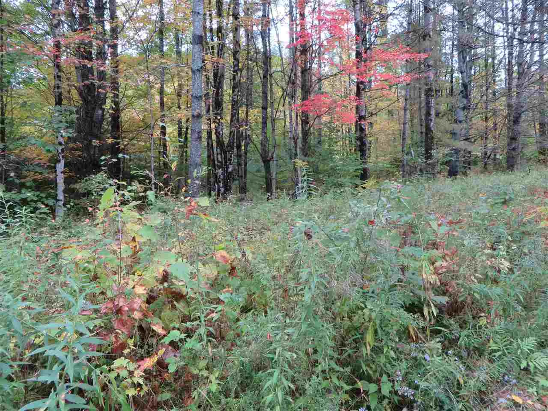Lot #B-6 Chamberlain Lane Waterford VT 05819
