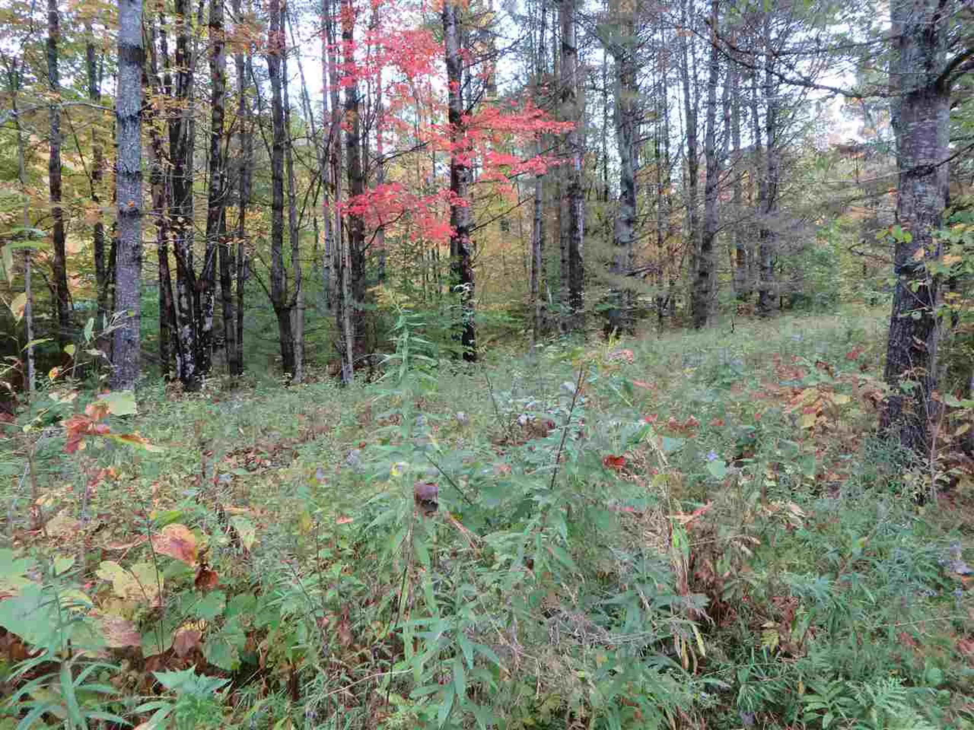 Lot #B-6 Chamberlain Lane Waterford VT 05819