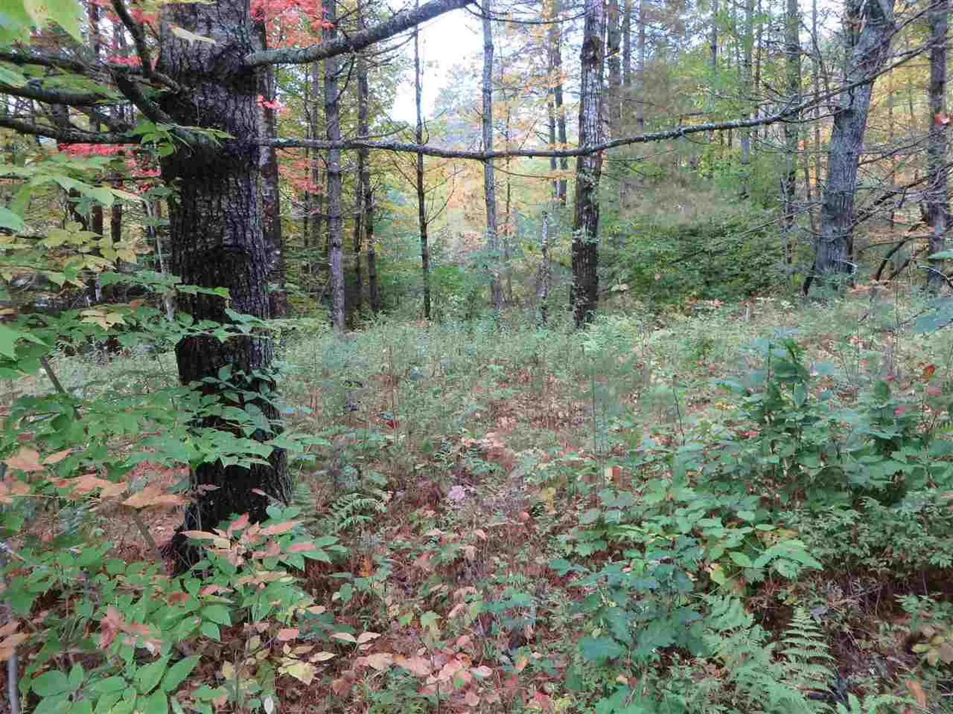 Lot #B-6 Chamberlain Lane Waterford VT 05819