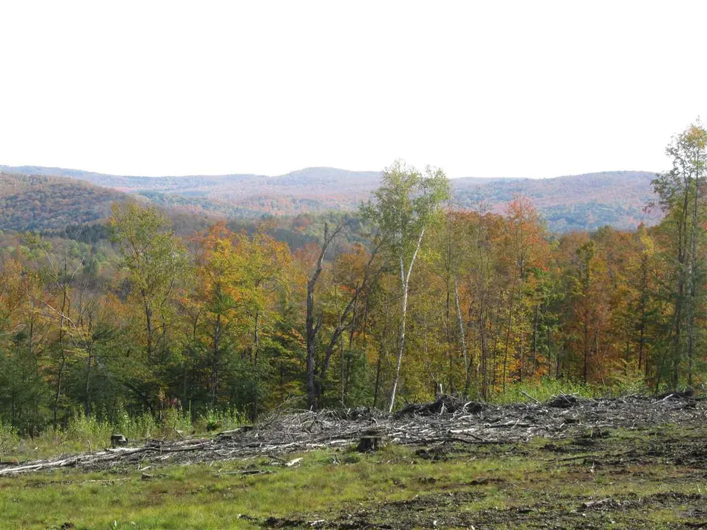 50 Mary White Road Tunbridge VT 05077