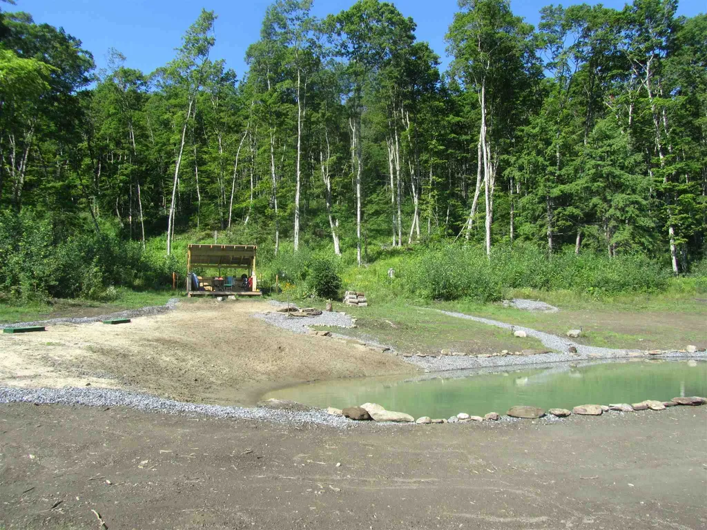 50 Mary White Road Tunbridge VT 05077