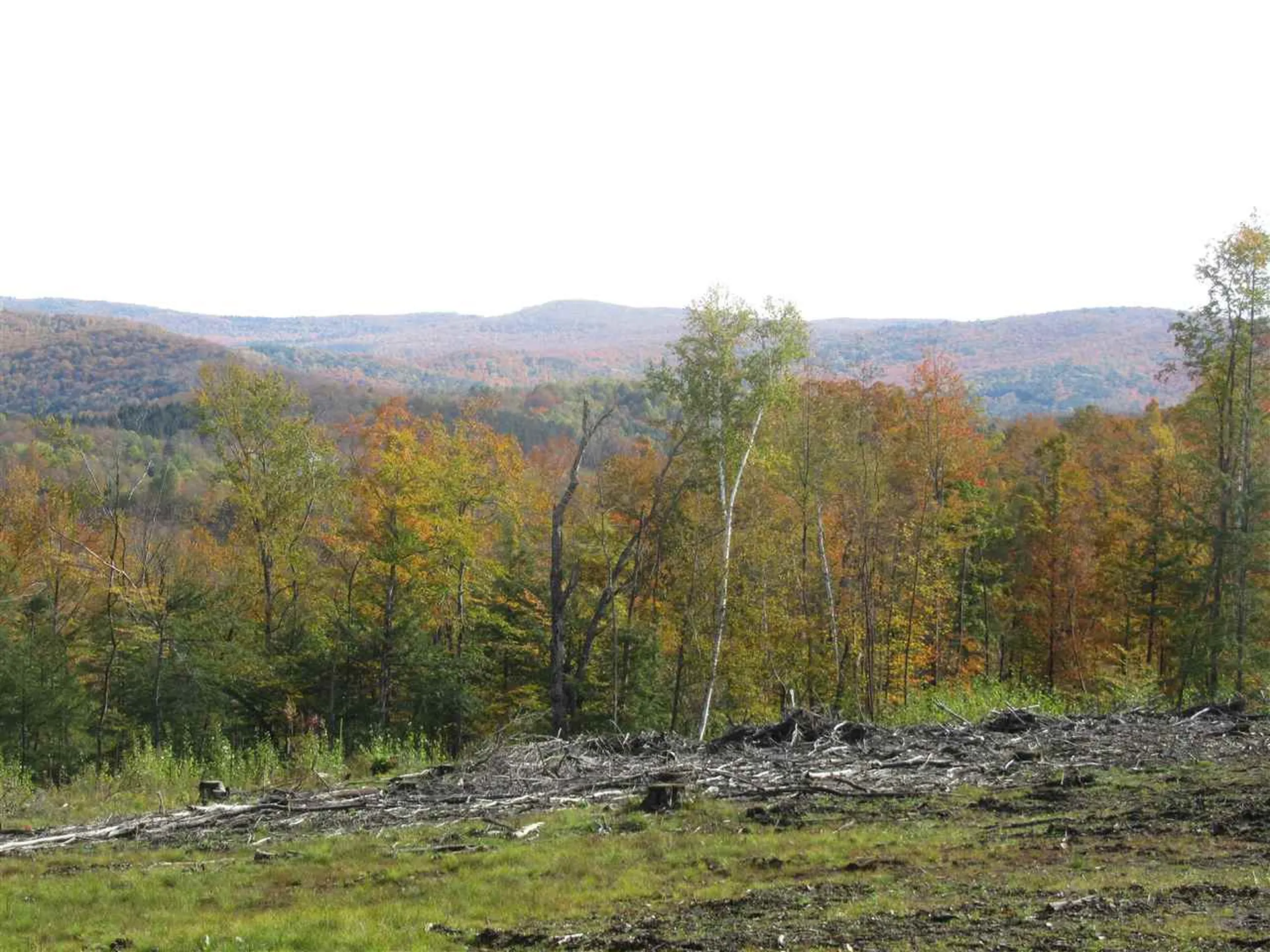 50 Mary White Road Tunbridge VT 05077