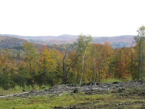 50 Mary White Road Tunbridge VT 05077