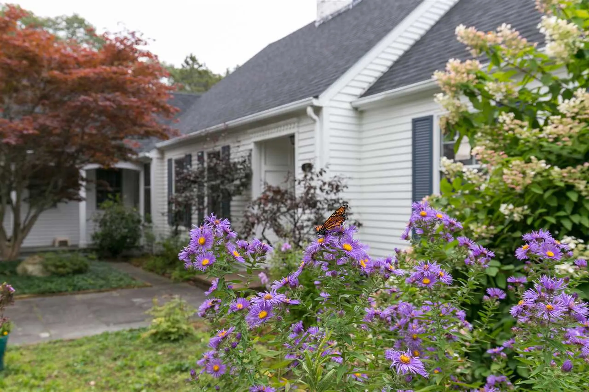 37 Ridgewood Drive Burlington VT 05408