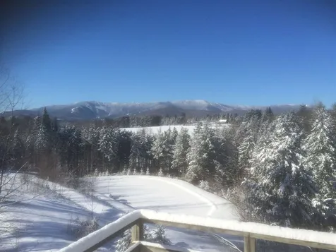3055 East Warren Road Waitsfield VT 05673-0602