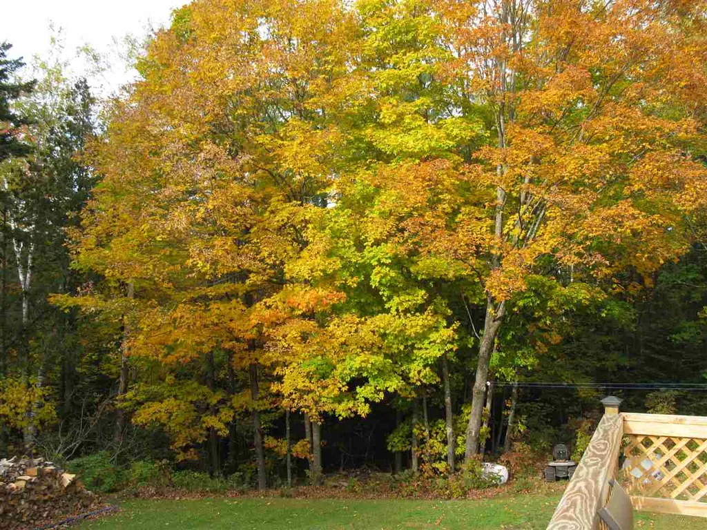 906 Milan Hill Road Milan NH 03588