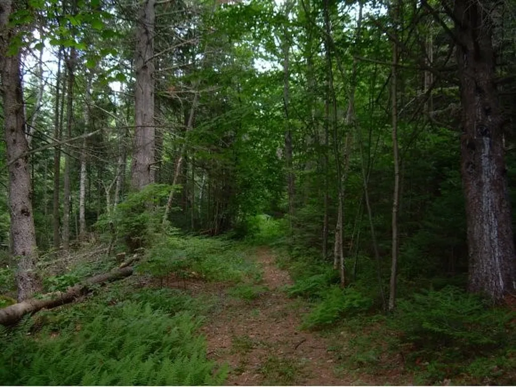 906 Milan Hill Road Milan NH 03588