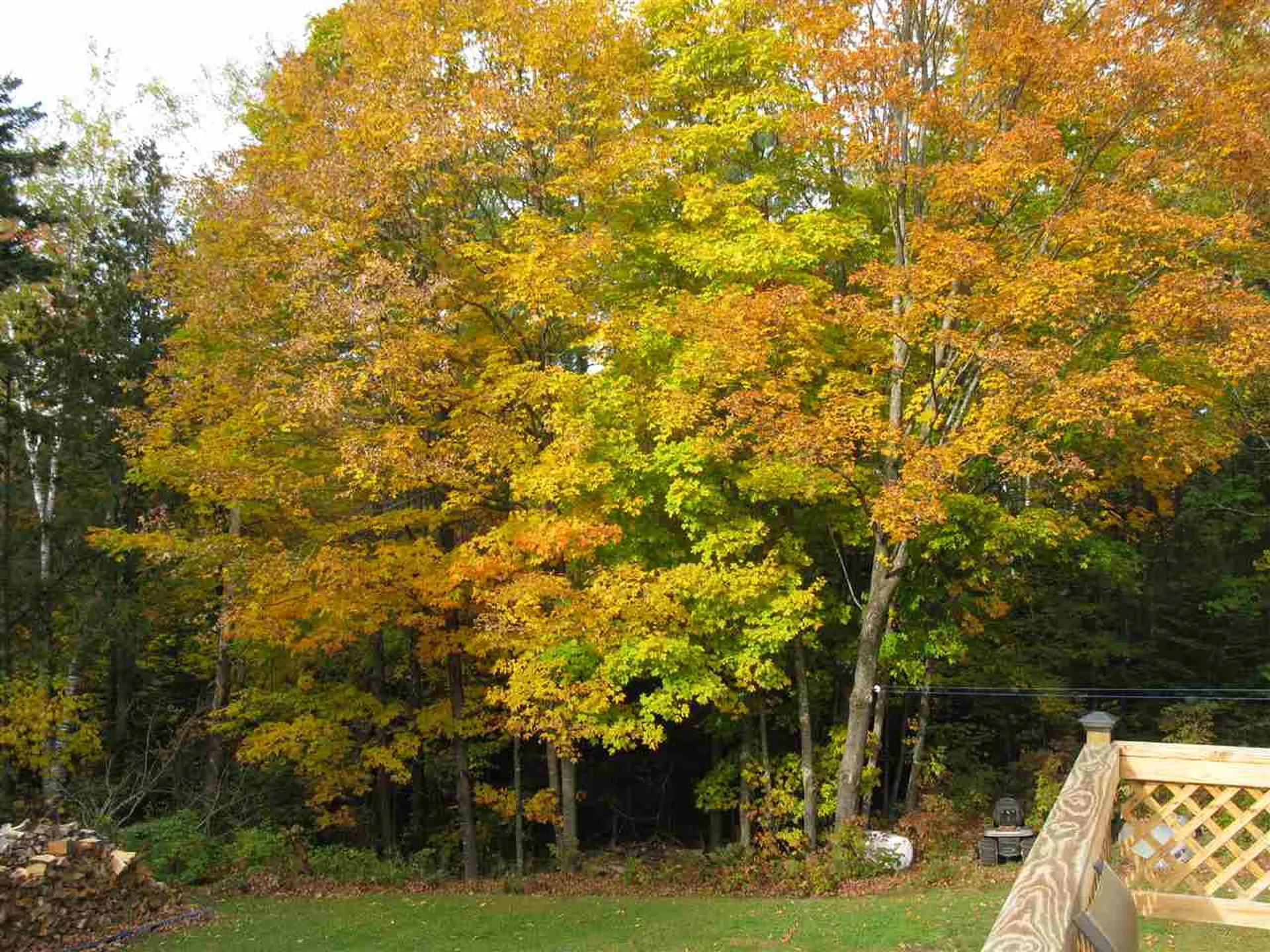 906 Milan Hill Road Milan NH 03588