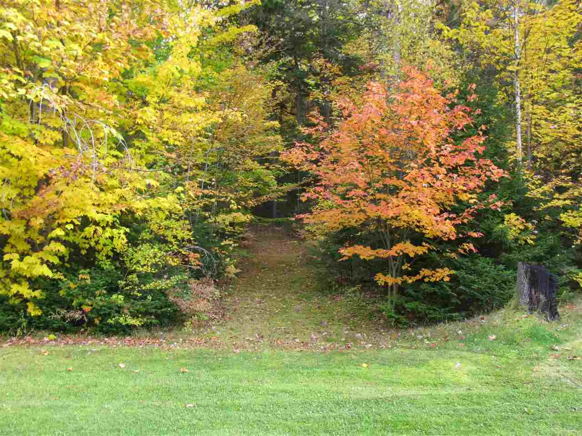 906 Milan Hill Road Milan NH 03588