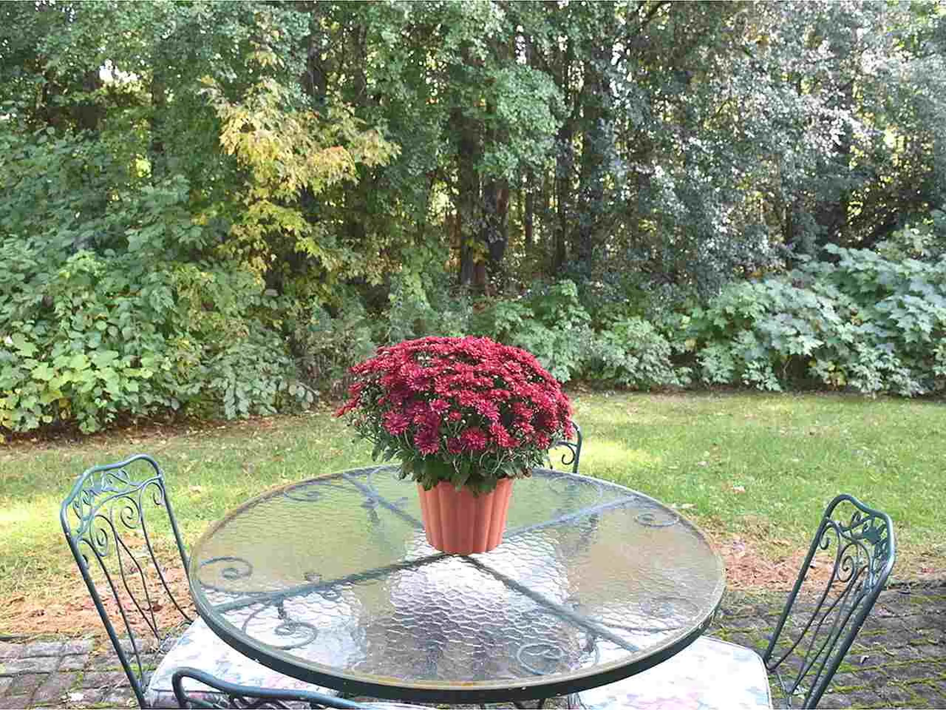 216 Locust Hill Road Shelburne VT 05482