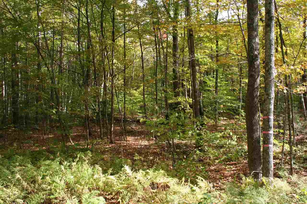 00 Eastman Road Barnard VT 05031