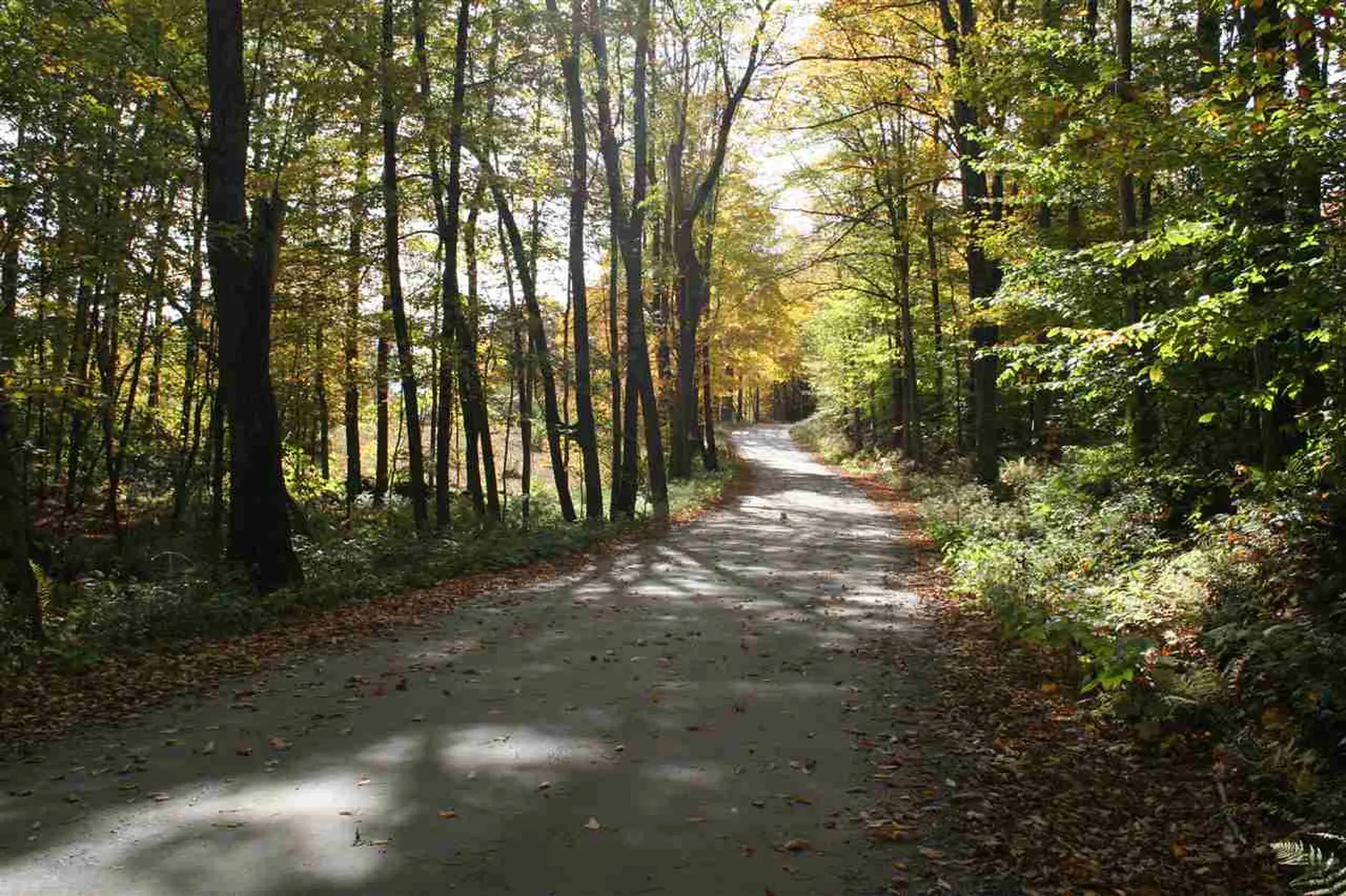 00 Eastman Road Barnard VT 05031