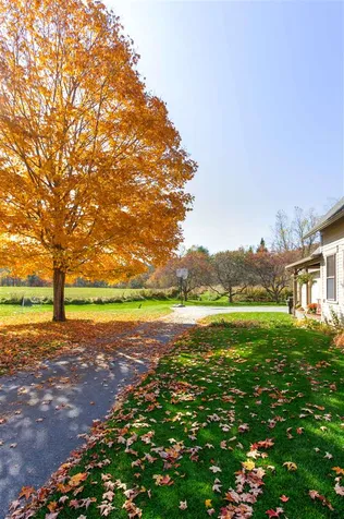 20 Brook Road Orford NH 03777