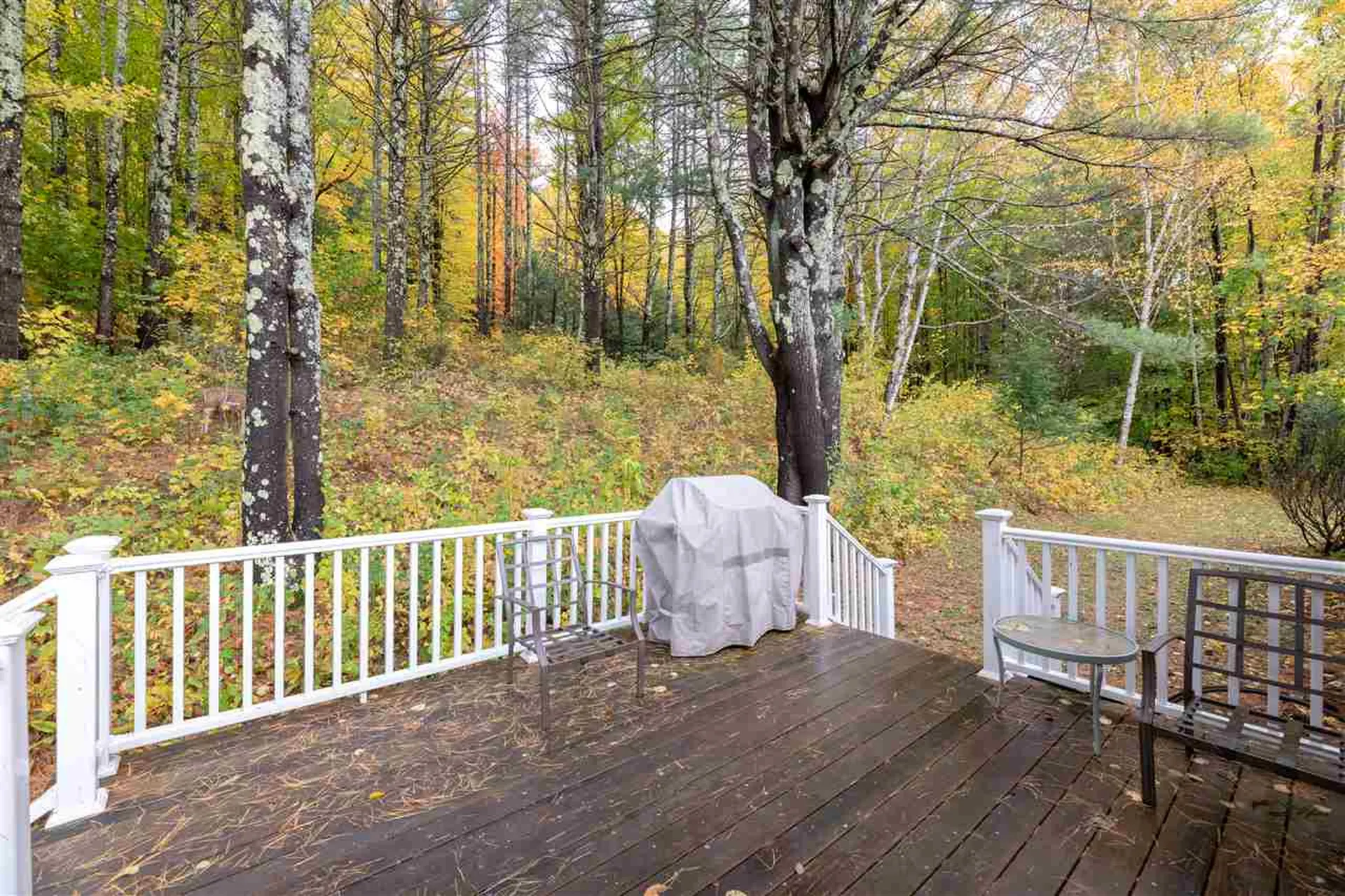 52 Chase Circle Center Harbor NH 03226