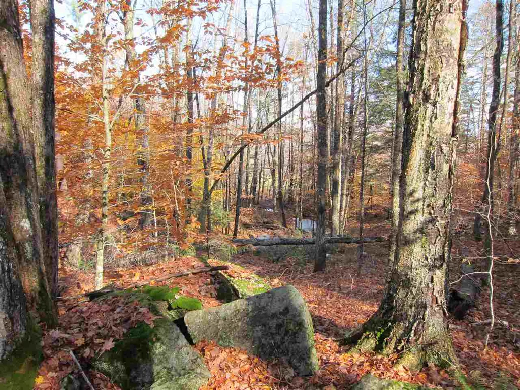 1880 Curtis Hollow Road Woodstock VT 05091