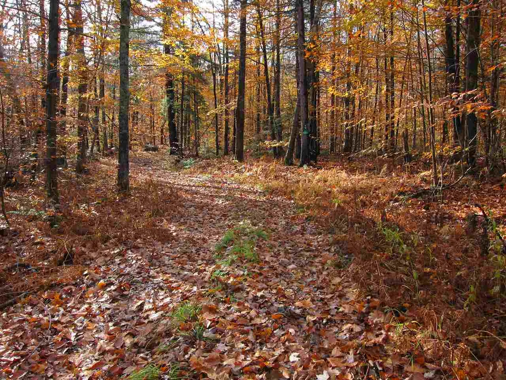 1880 Curtis Hollow Road Woodstock VT 05091