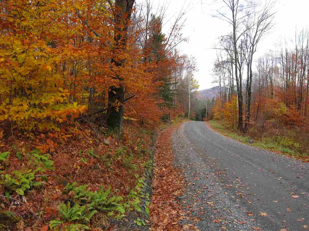 1880 Curtis Hollow Road Woodstock VT 05091