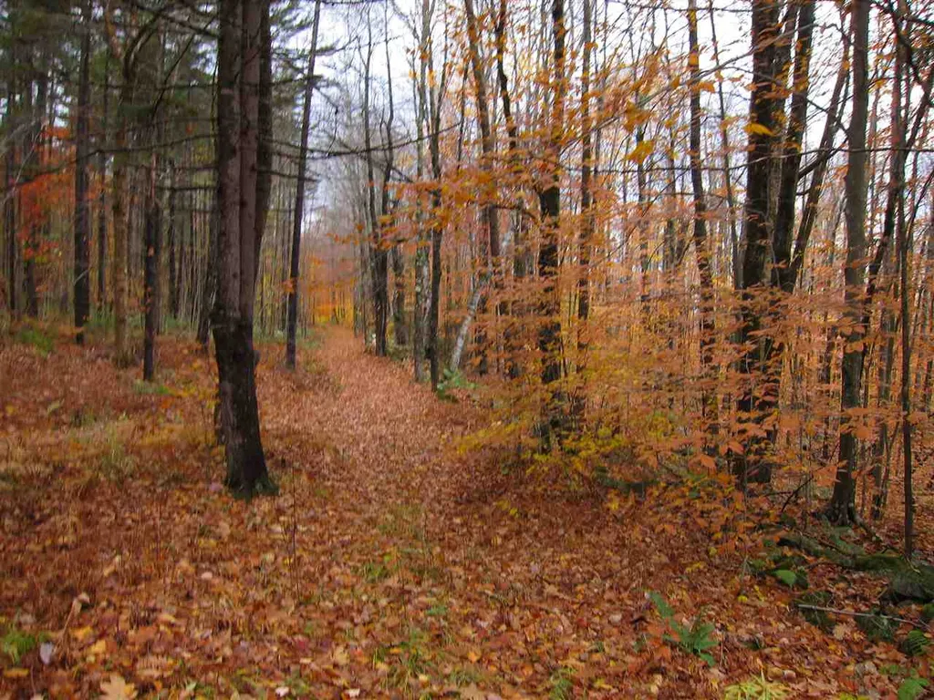 1880 Curtis Hollow Road Woodstock VT 05091