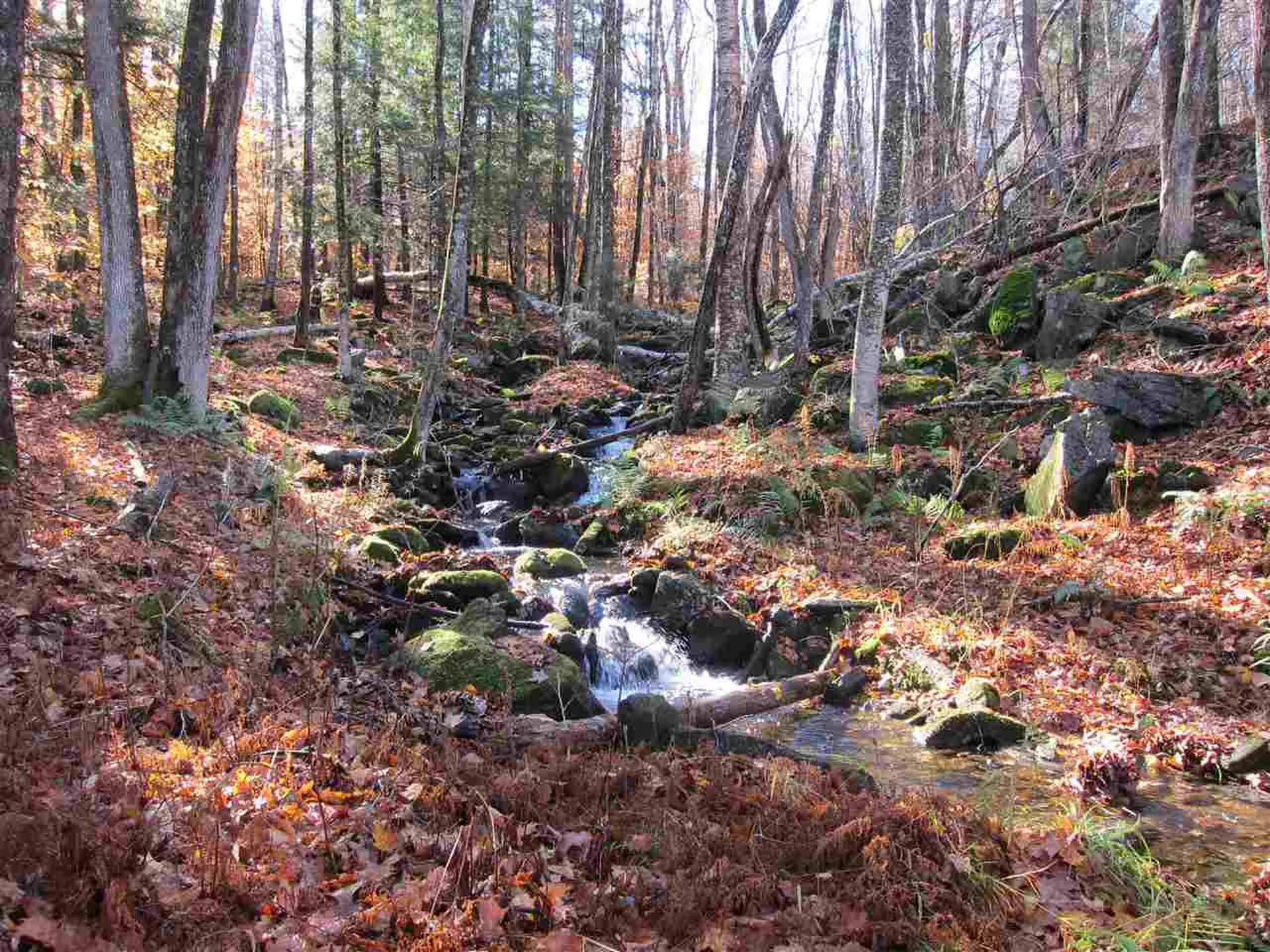 1880 Curtis Hollow Road Woodstock VT 05091