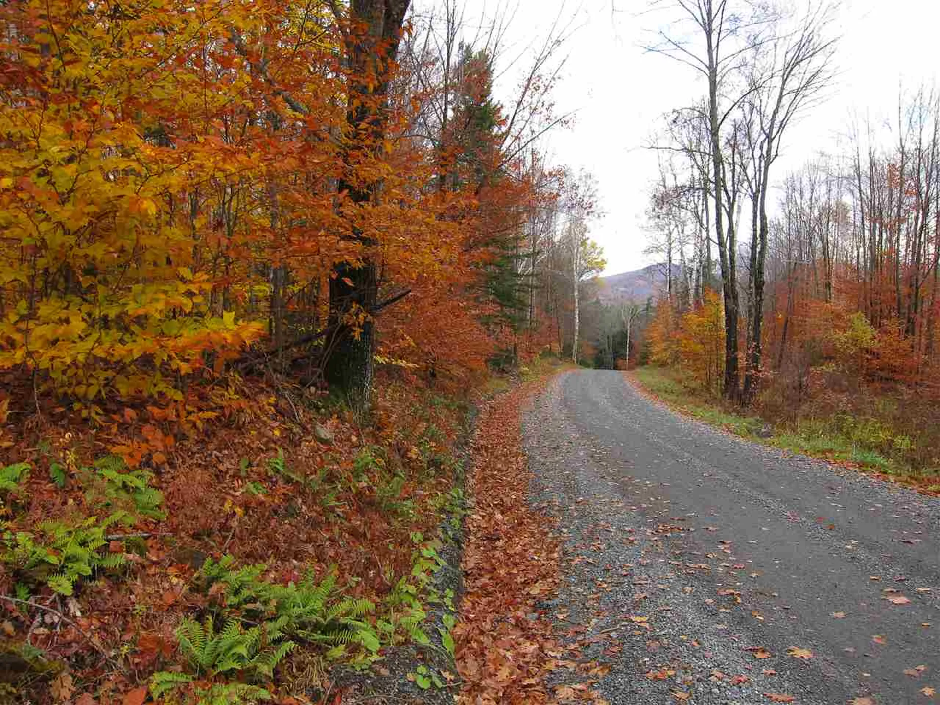 1880 Curtis Hollow Road Woodstock VT 05091